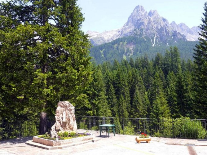 Hotel Fratazza - Forest of fir trees with the Dolomites in the background