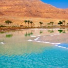 View of the Dead Sea with palm trees and mountains in the background in Jordan