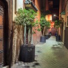 Typical narrow streets of the Medina of Marrakesh in Morocco