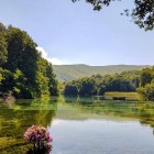 Beautiful detail of the park and lake nature at the Sveti Naum Monastery in North Macedonia