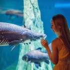 Details of marine flora seen from the tunnel of the Port Vell Aquarium in Barcelona