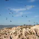 The Pigeon Valley, Güvercinlik Vadisi in Turkish, is so named because, since ancient times, humans carved pigeon nests into the tuff, essential as a food source