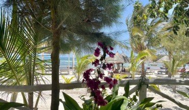 Simba House Watamu Simba House Watamu